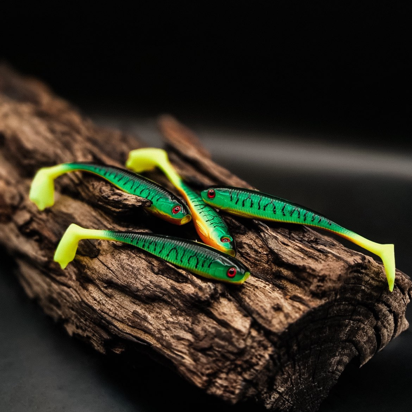 High fever shad 4-pack