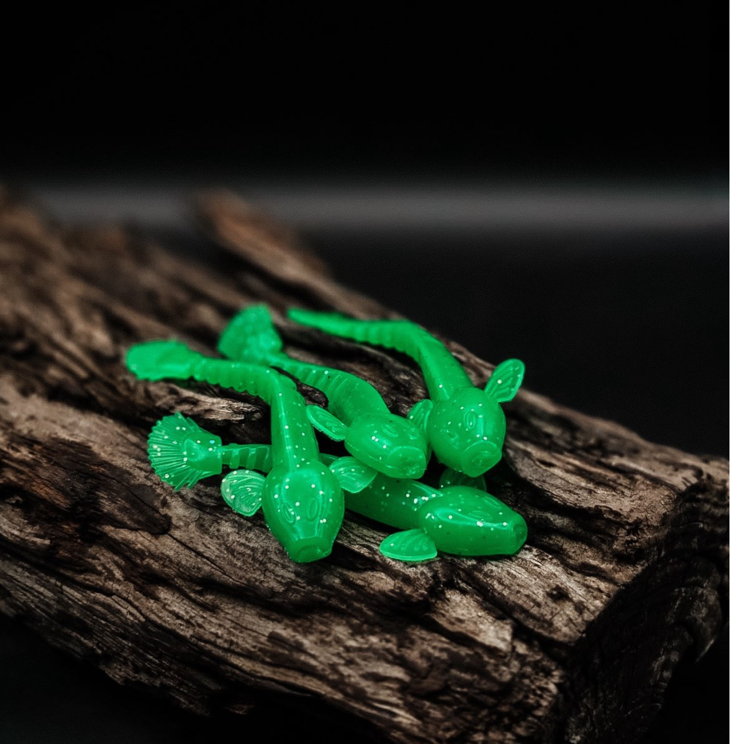 Fever Goby 4-pack