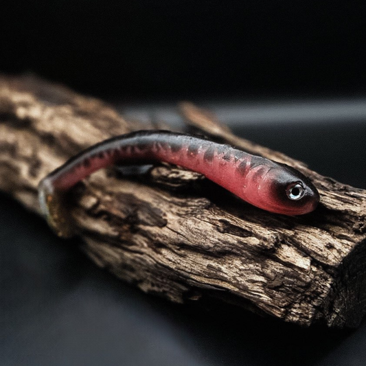 Galt Shad 18
