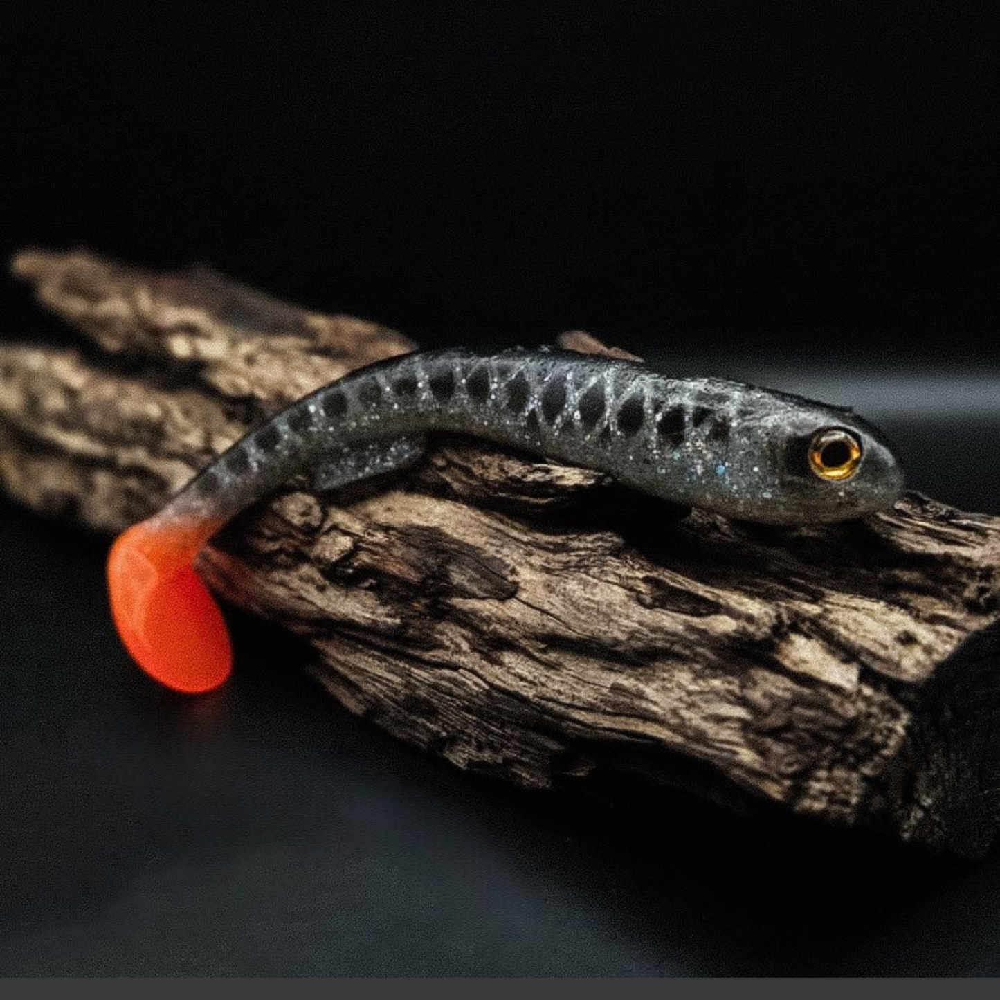 Galt Shad 22