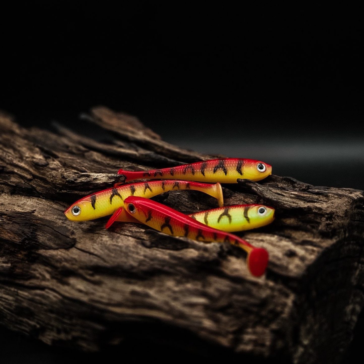 Perch candy shad 4-pack