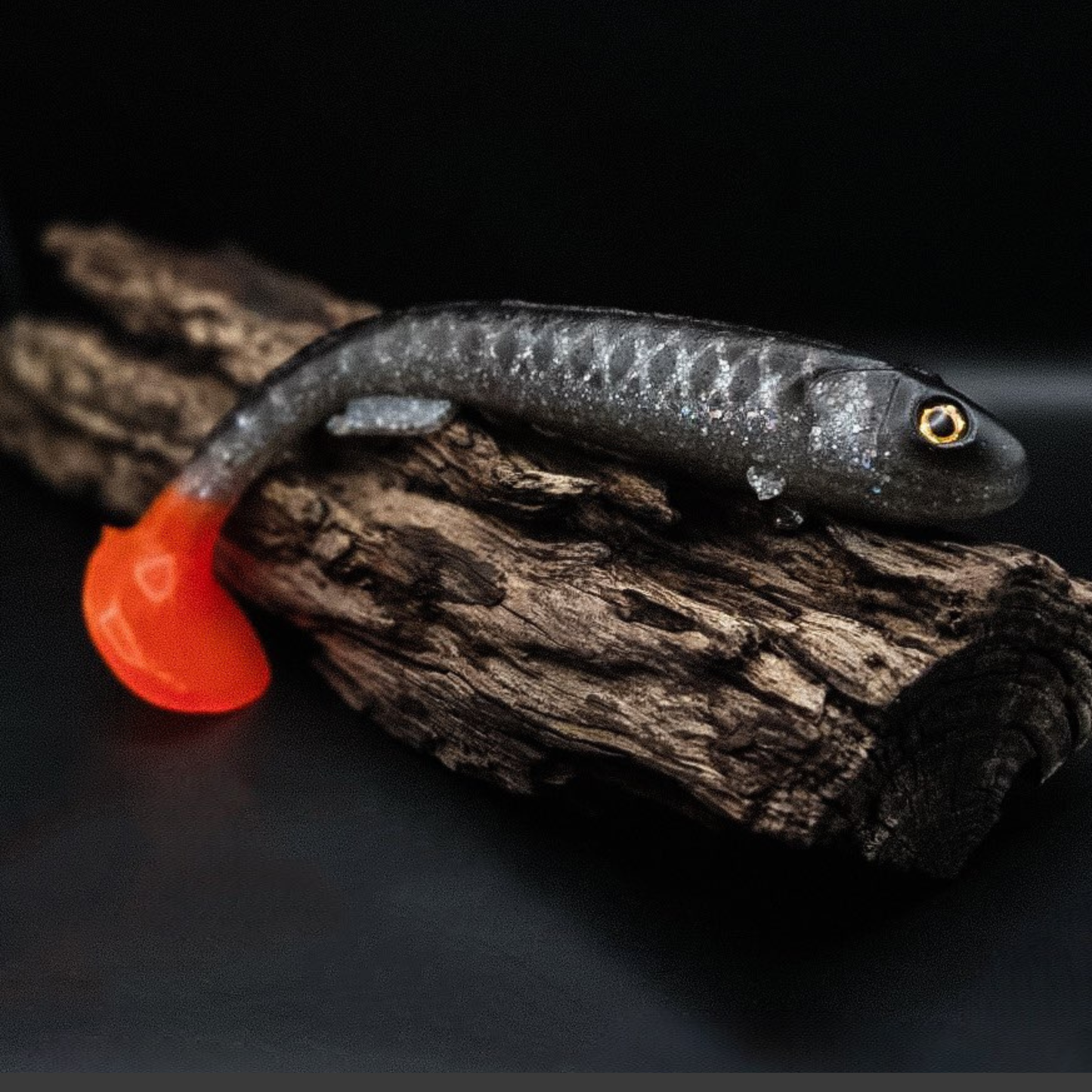Galt Shad 25