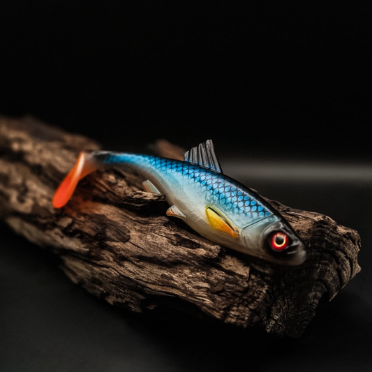 Fancy pork Shad