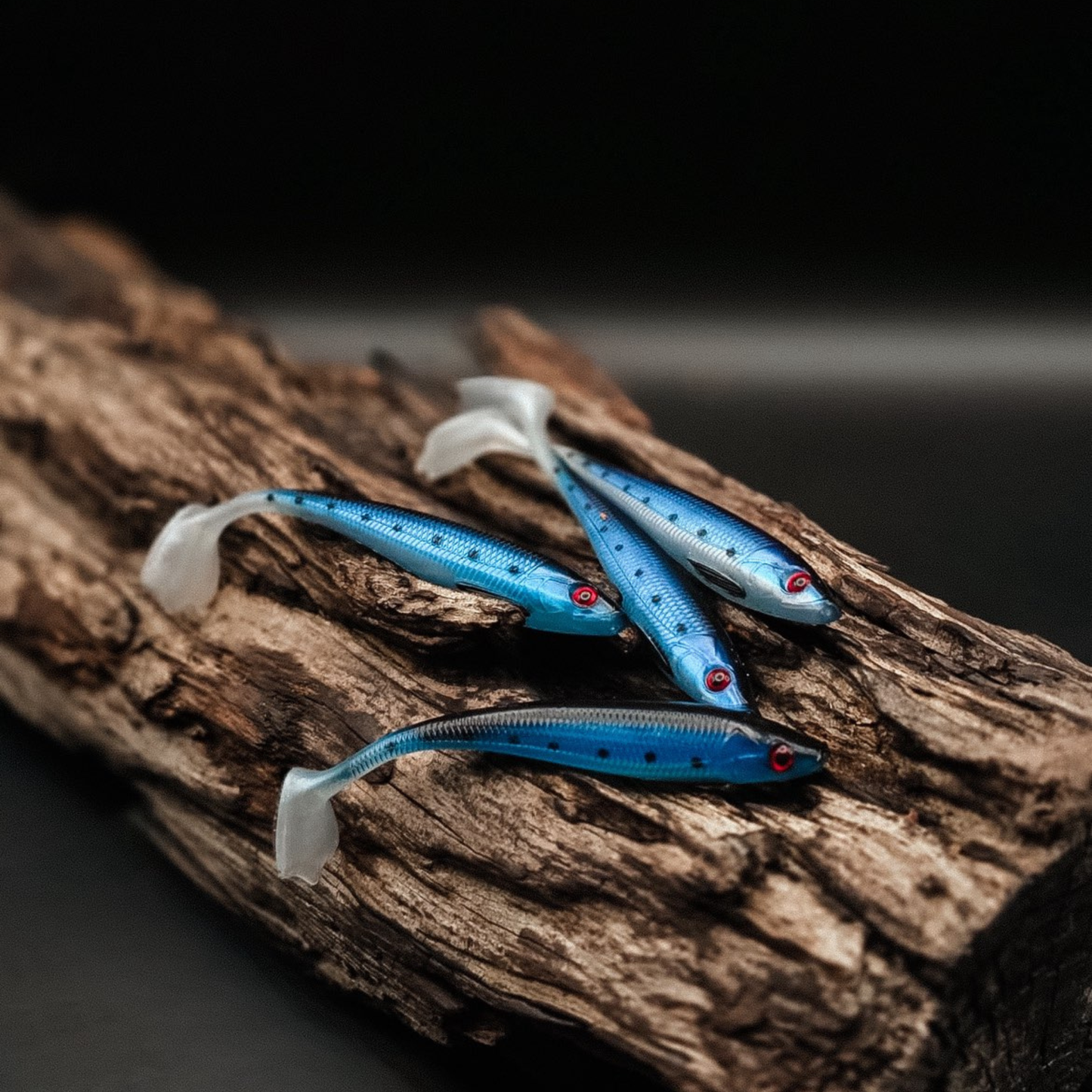 High fever shad 4-pack