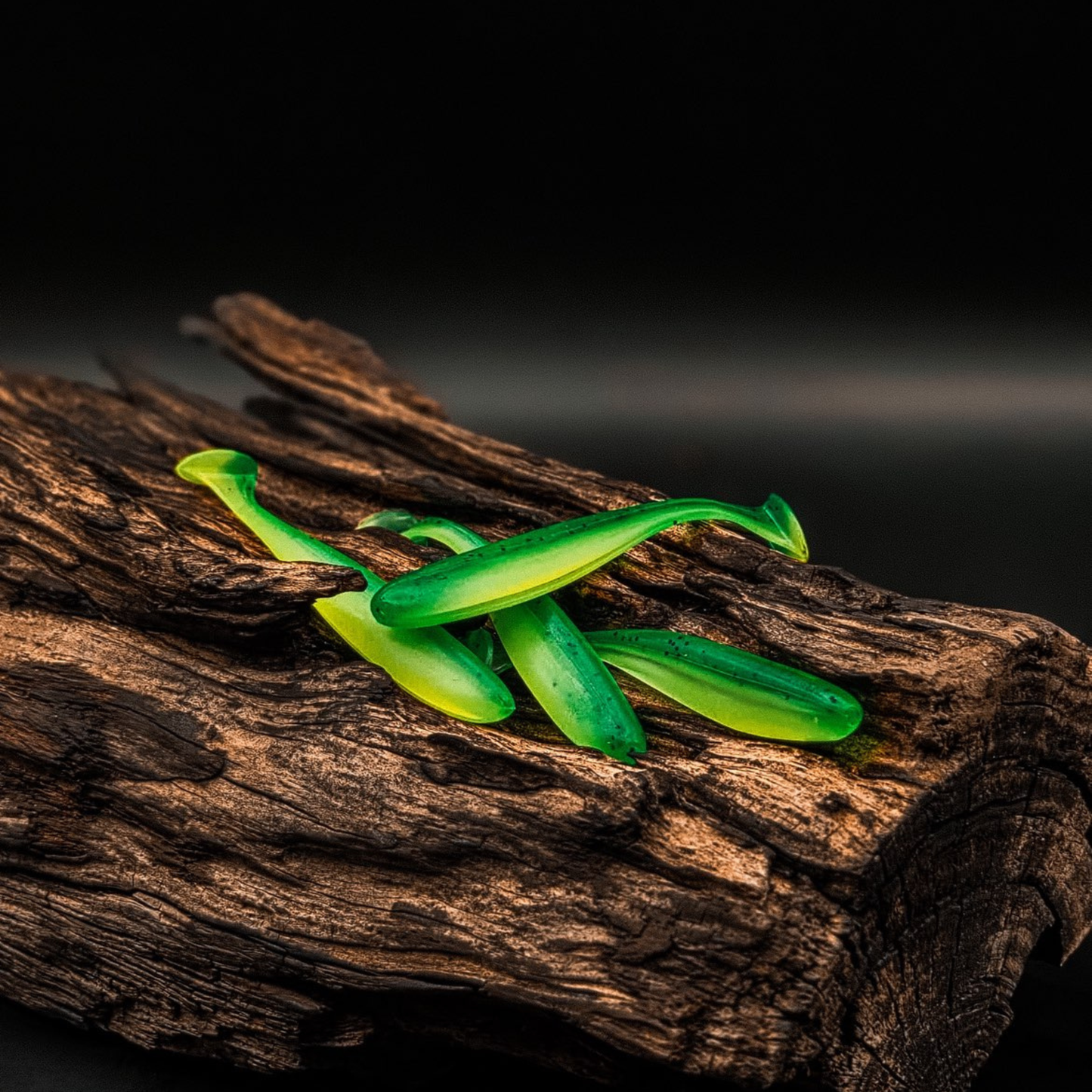 Fever bait shad 4-pack